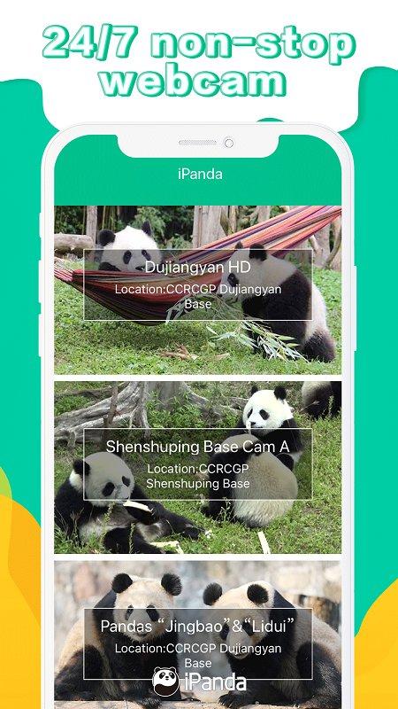 ipanda客户端下载,ipanda,直播app,视频app