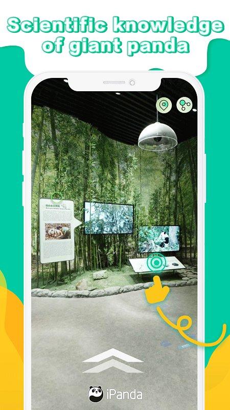 ipanda客户端下载,ipanda,直播app,视频app