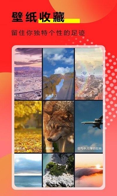 熊猫壁纸大全app下载,熊猫壁纸大全,壁纸app